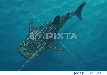 Majestic whale shark swimming gracefully in clear blue ocean water 124992902