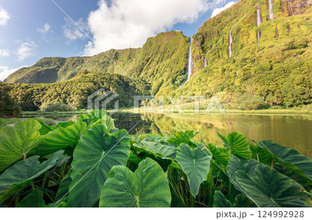 Lagoa dos Patos reflects waterfalls cascading down Flores Island's lush mountains 124992928