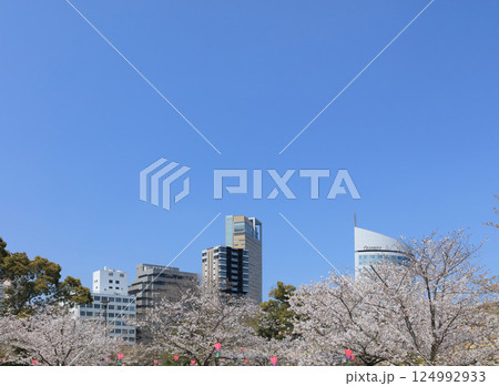 高松城跡の桜の馬場から見るサンポート高松のシンボルタワーやJRホテルクレメント高松 124992933