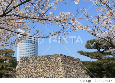 高松城跡の桜の馬場から見る天守台とサンポート高松のJRホテルクレメント高松 高松城跡の桜の馬場から見る天守台とサンポート高松のJRホテルクレメント高松 124992937
