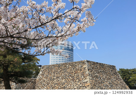 高松城跡の桜の馬場から見る天守台とサンポート高松のJRホテルクレメント高松 高松城跡の桜の馬場から見る天守台とサンポート高松のJRホテルクレメント高松 124992938
