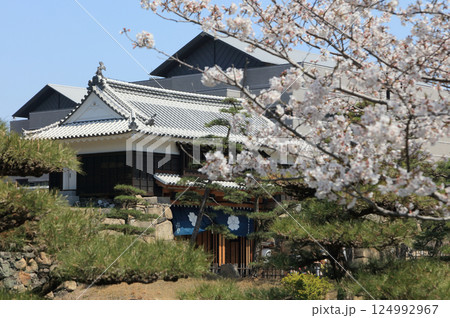 高松城跡の桜の馬場から見る桜御門（後ろは香川県立ミュージアムと香川県県民会館レクザムホール） 124992967