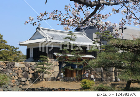高松城跡の桜の馬場から見る桜御門 高松城跡の桜の馬場から見る桜御門 124992970