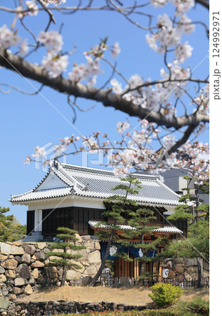 高松城跡の桜の馬場から見る桜御門 高松城跡の桜の馬場から見る桜御門 124992971