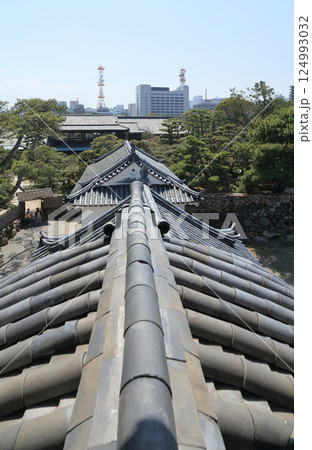 高松城跡の月見櫓から見る渡櫓と披雲閣、その向こうに高松市街とヨンデンビル 124993032
