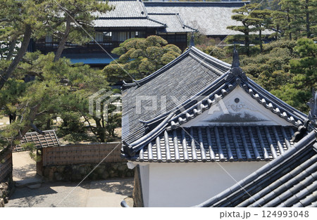 高松城跡の月見櫓から見る渡櫓と披雲閣 高松城跡の月見櫓から見る渡櫓と披雲閣 124993048