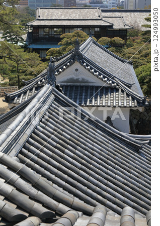 高松城跡の月見櫓から見る渡櫓と披雲閣 高松城跡の月見櫓から見る渡櫓と披雲閣 124993050