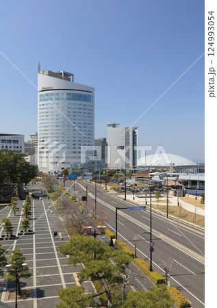 月見櫓から見る水城通り、サンポートのホテルクレメント高松や穴吹アリーナ香川も見える 124993054