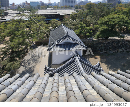 高松城跡の月見櫓から見る渡櫓と披雲閣、その向こうに高松市街 高松城跡の月見櫓から見る渡櫓と披雲閣、その向こうに高松市街 124993087