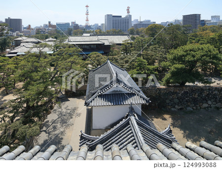 高松城跡の月見櫓から見る渡櫓と披雲閣、その向こうに高松市街とヨンデンビル 高松城跡の月見櫓から見る渡櫓と披雲閣、その向こうに高松市街とヨンデンビル 124993088