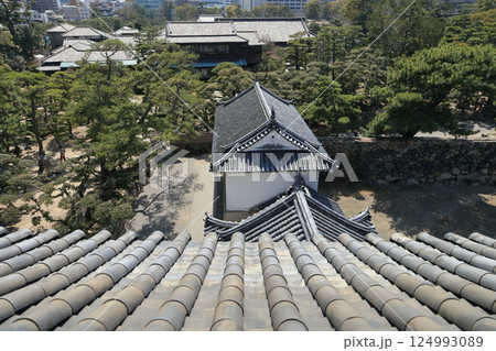 高松城跡の月見櫓から見る渡櫓と披雲閣、その向こうに高松市街 高松城跡の月見櫓から見る渡櫓と披雲閣、その向こうに高松市街 124993089