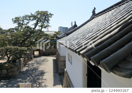 高松城跡、月見櫓から見る渡櫓と披雲閣の庭 124993167