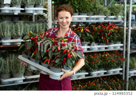Woman seller examines seedlings of red pepper, before sending them to customer Woman seller examines seedlings of red pepper, before sending them to customer 124993352