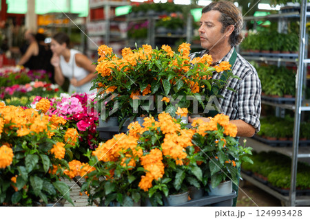 Middle-aged salesman holding crossandra in flower-pots in plants market 124993428