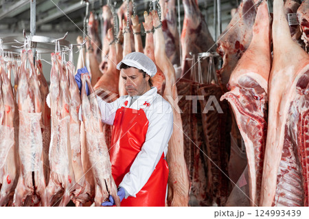 Male slaughterhouse worker inspecting lamb carcass in meat storage 124993439