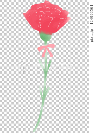 Illustration of a single carnation with a ribbon - watercolor-style hand-drawn illustration Illustration of a single carnation with a ribbon - watercolor-style hand-drawn illustration 124993561
