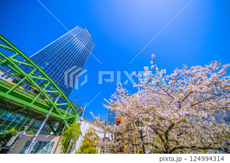 日本の東京都市景観 昌平橋交差点の上に架かる総武本線松住橋架道橋を走る総武線や超高層ビル、桜など 日本の東京都市景観 昌平橋交差点の上に架かる総武本線松住橋架道橋を走る総武線や超高層ビル、桜など 124994314