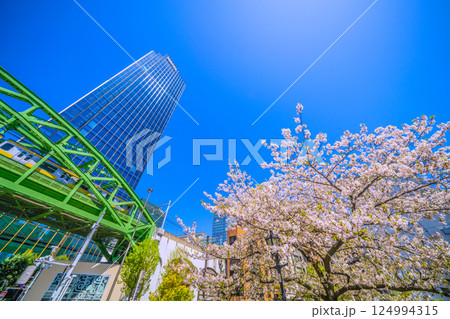 日本の東京都市景観　昌平橋交差点の上に架かる総武本線松住橋架道橋を走る総武線や超高層ビル、桜など 124994315
