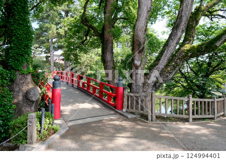 愛知県岡崎市_神橋1(岡崎城)_2024年6月 124994401