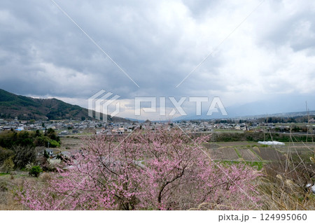 長野県上伊那郡箕輪町東箕輪_上ノ平城跡付近から南側風景4_2023年4月 長野県上伊那郡箕輪町東箕輪_上ノ平城跡付近から南側風景4_2023年4月 124995060