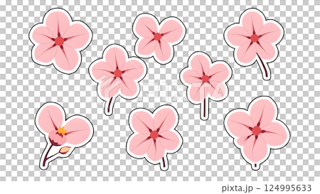 cherry blossom. pink flowers on a white background cherry blossom. pink flowers on a white background 124995633