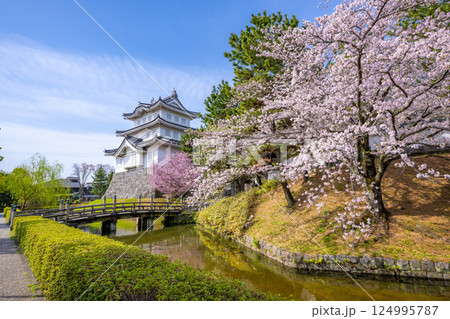 桜満開の忍城　 124995787