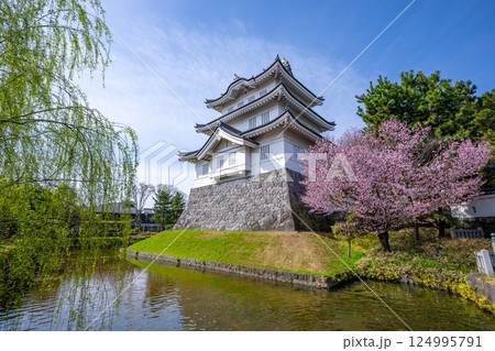 桜満開の忍城　 124995791