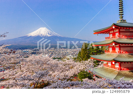 富士山と桜と五重塔 新倉山浅間公園 富士山と桜と五重塔 新倉山浅間公園 124995879