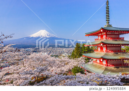 富士山と桜と五重塔 新倉山浅間公園 富士山と桜と五重塔 新倉山浅間公園 124995884