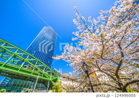 日本の東京都市景観　昌平橋交差点の上に架かる総武本線松住橋架道橋を走る総武線や超高層ビル、桜など 124996008