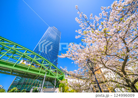 日本の東京都市景観　昌平橋交差点の上に架かる総武本線松住橋架道橋を走る総武線や超高層ビル、桜など 124996009