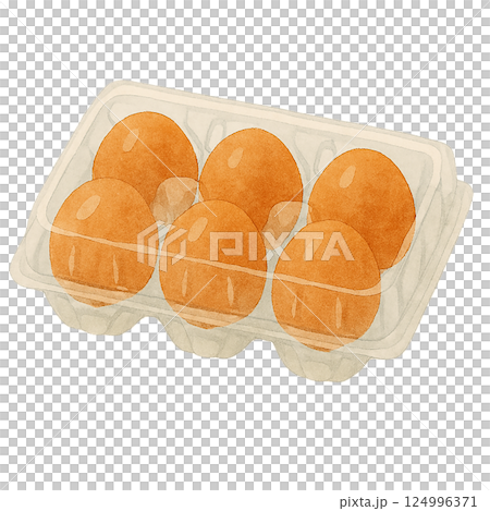 一包六顆雞蛋的水彩插圖 124996371