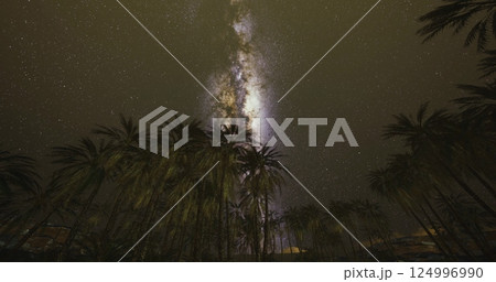 Starry night sky over palm trees in a tropical location Starry night sky over palm trees in a tropical location 124996990