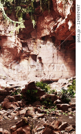 Rocky Area With Rocks and Plants 124997497