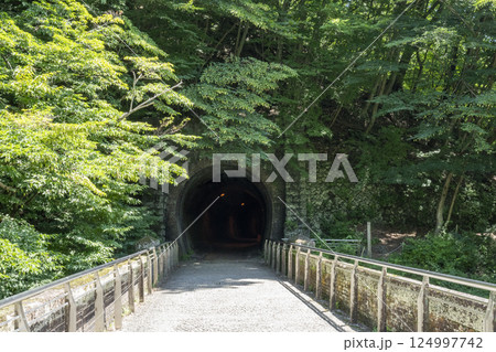碓氷峠の旧信越線にかかるレンガ造りの眼鏡橋の橋上とトンネル 碓氷峠の旧信越線にかかるレンガ造りの眼鏡橋の橋上とトンネル 124997742
