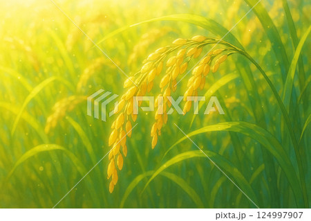 収穫前の黄金色の稲穂が風に揺れるイラスト 124997907