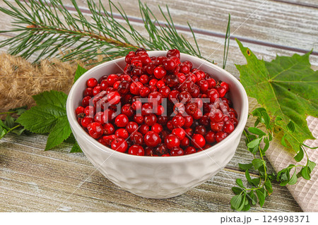 Natural organic wild forwst lingonberry Natural organic wild forwst lingonberry 124998371