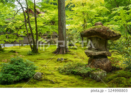 三千院の庭園と参道風景 三千院門跡 天台宗 京都大原 三千院の庭園と参道風景 三千院門跡 天台宗 京都大原 124998803