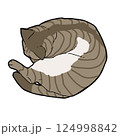 丸まりながら寝ているキジトラ猫 124998842