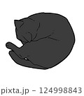 丸まりながら寝ている黒猫 124998843