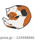 丸まりながら寝ている三毛猫 124998846