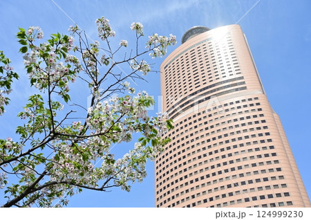 アクトシティ浜松と桜の花 124999230