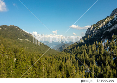 Drone aerial view of pine woodland and mountain peaks in the Bavarian Alps 124999399