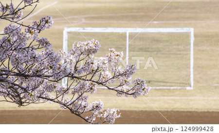 桜の花とグラウンドのサッカーゴール 124999428