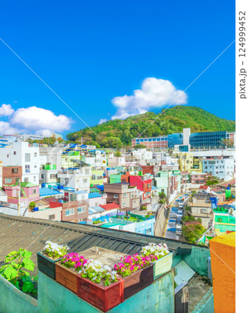 釜山 甘川文化村 釜山 甘川文化村 124999452