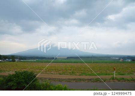 JR北海道、函館本線の大沼駅から森駅までの普通列車車窓風景(2023年夏曇り空) 124999475