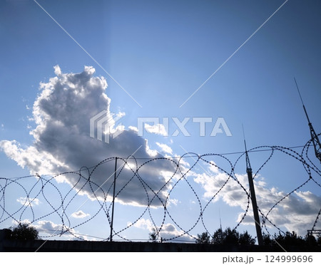 Barbed wire on a summer day against a peaceful sky with clouds and rays of the sun. 124999696