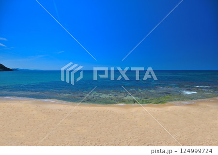 関西・近畿・丹後半島・歩くとキュッキュッと音がする美しい浜、琴引浜・京都府京丹後市(8) 124999724