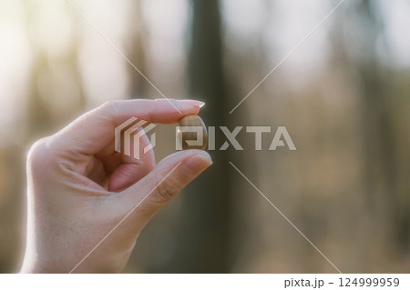 どんぐりを拾った手 124999959