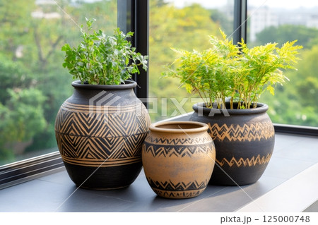 Decorative ceramic pots with plants growing near window 125000748